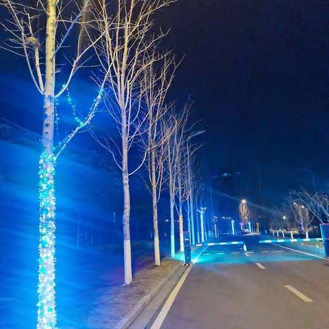 2022🎆相约红枫🍁