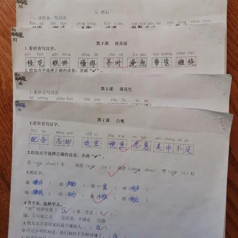 五年级语文主要试卷统计