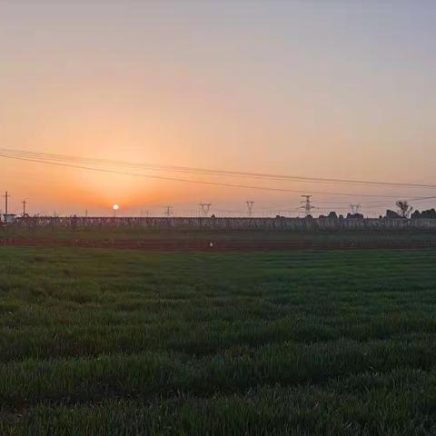陪伴