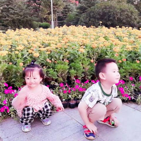 兄妹的欢乐时光
