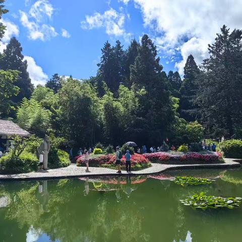 心态与技术的博弈一记与门球高手的一场比赛