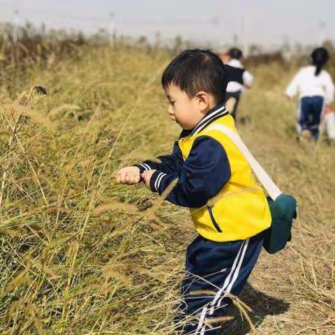 小巨人的美篇