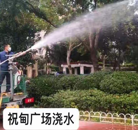 东风绿化所工作周记