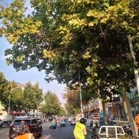 东风绿化工作周记