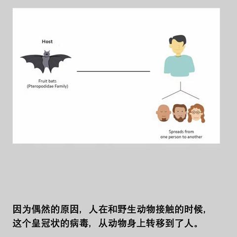 宜州区山水宜人保育院新型冠状病毒感染肺炎系列宣传