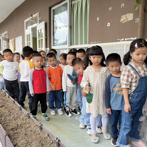 金心幼儿园中一班小小种植园