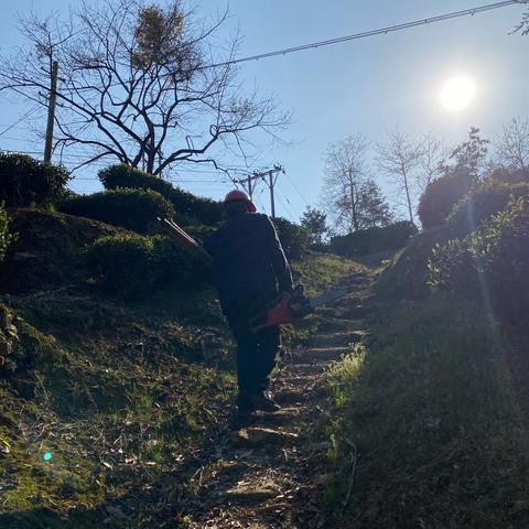 潭头供电所2023年3月10日对10kV秀潭线开展两会保供电特巡及走廊清障工作