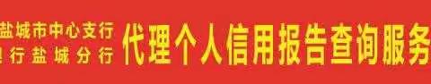 建行盐城分行代理首台征信个人信用报告自助查询机正式启用