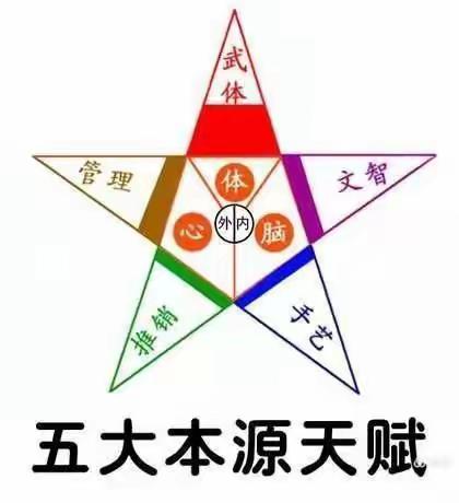 《行为天赋学》第4节~五大本源天赋