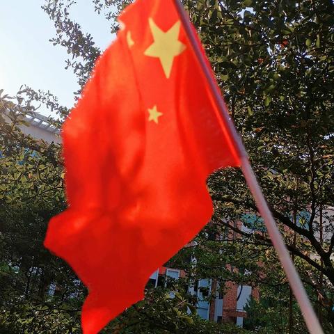 我爱你 中国——流溪小学庆祝中华人民共和国成立70周年快闪活动