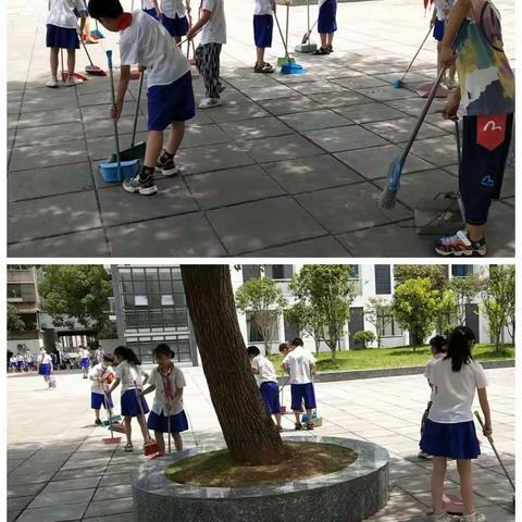 盛夏繁花，心怀美好