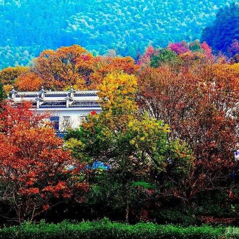 塔川秋意浓