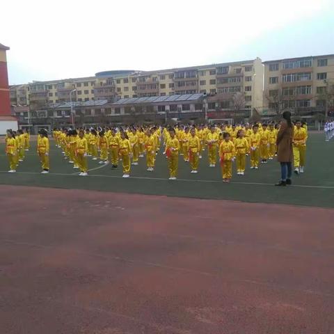 小学二组王佳晗心得体会