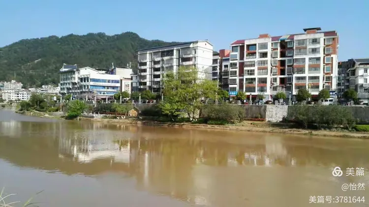 无患子树种植前景怎么样