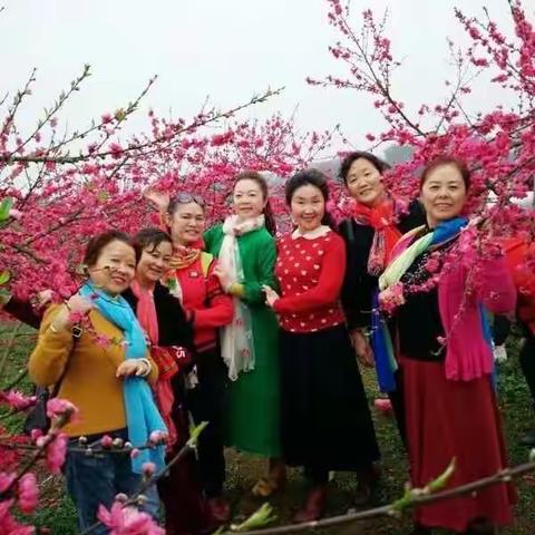 走进春天。春天美在花朵里