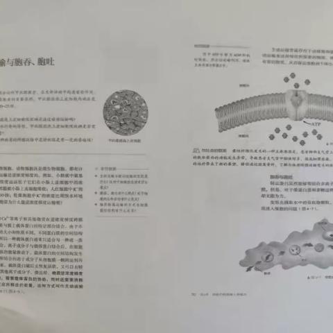 林娟老师赛教课记录