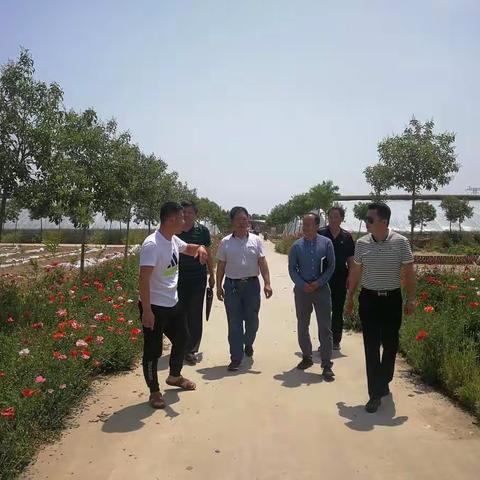 市局农安处领导来我县对申报绿色食品企业预检查