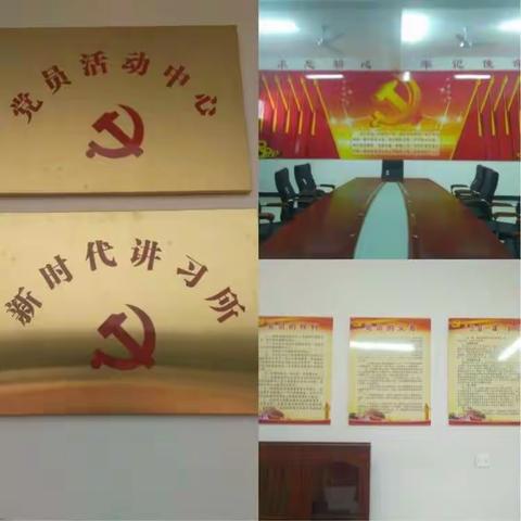 临港中心小学党支部学习贯彻十九大精神全员集中轮训（一）