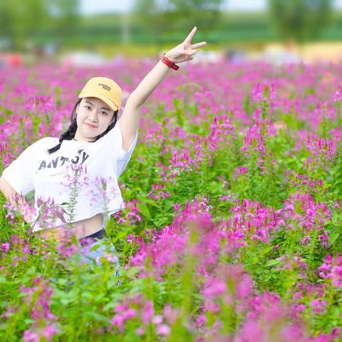 漫步花海,走进芬芳---醉蝶花人像