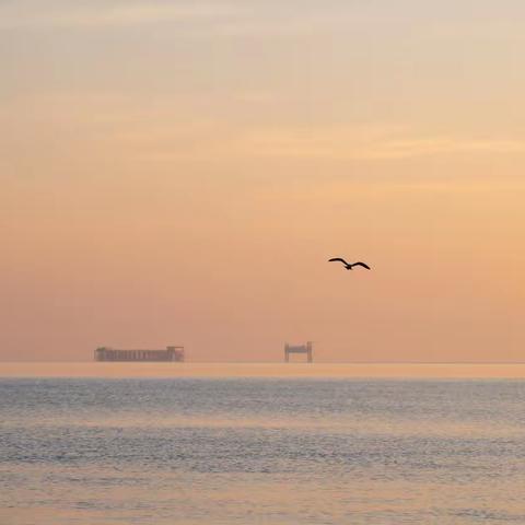 秋日登高（上平十灰）
