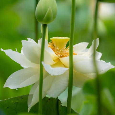 立秋（下平十一尤）