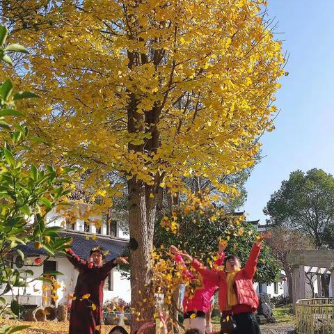 姐妹情深，晒太阳。