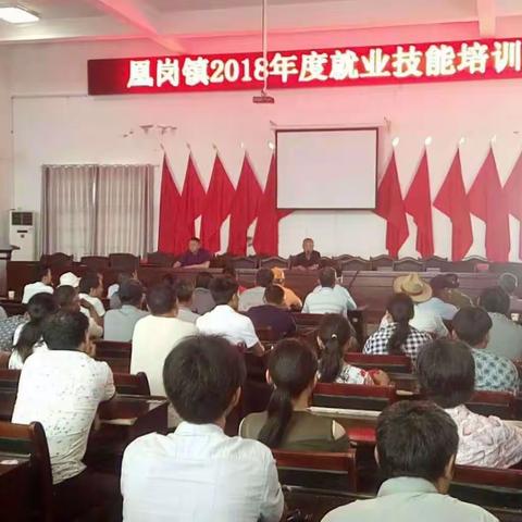 【凰岗镇】脱贫攻坚路上  我们砥砺前行（三）
