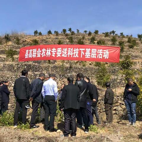 县高联会农林专委会开展“服务乡村，促农增收”下基层活动