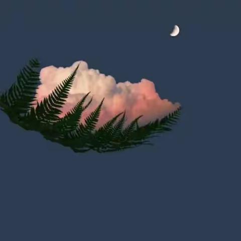 爱我的人和我爱的人