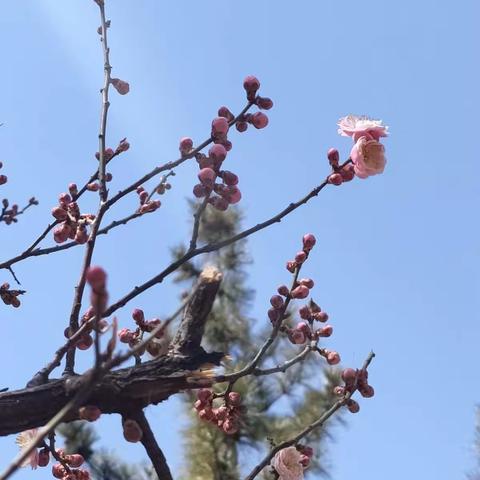 春风送暖      静待花开——九年级一班主题班会记录