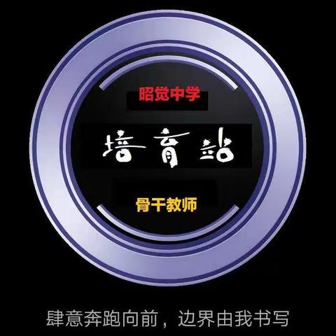 昭觉中学骨干教师培育站实施方案