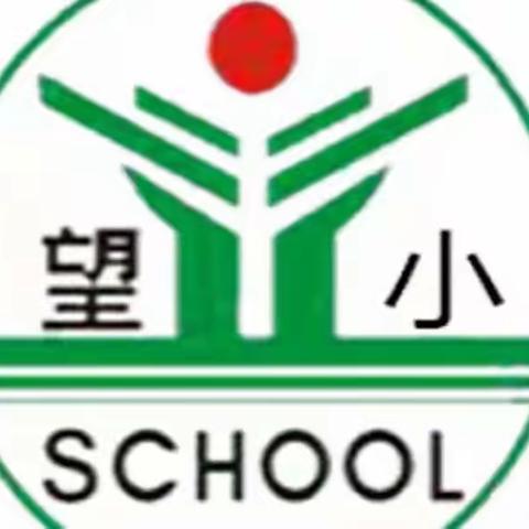 【望仙小学】青秧插满田  种下田园梦——四三班劳动研学活动之插秧篇