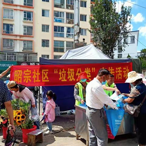 昭宗社区8月份垃圾分类宣传活动