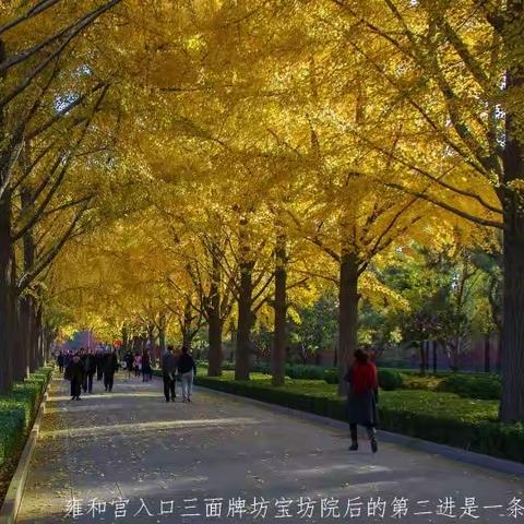 相约北京秋光好（2013/11/04～07）