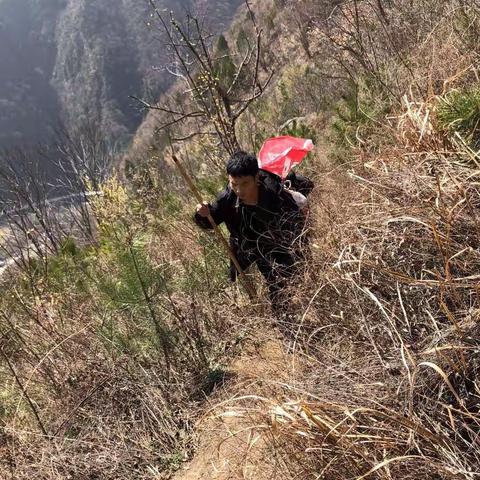 【莲湖区第七帮扶组驻村工作队】不负好时光 抢抓春耕忙