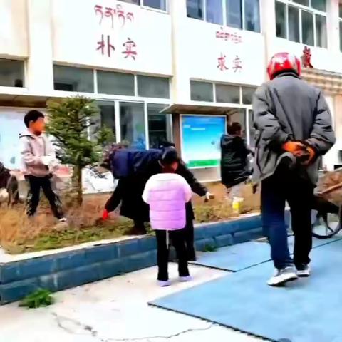 歌乐沱乡幼儿园种花🌸