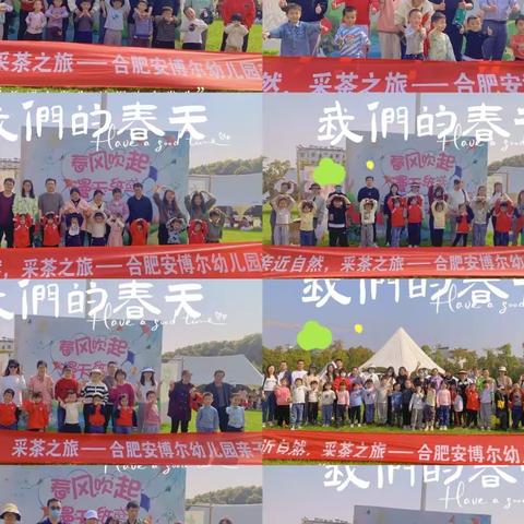“亲近自然 采茶之旅”——合肥新站高新区安博尔幼儿园亲子游活动