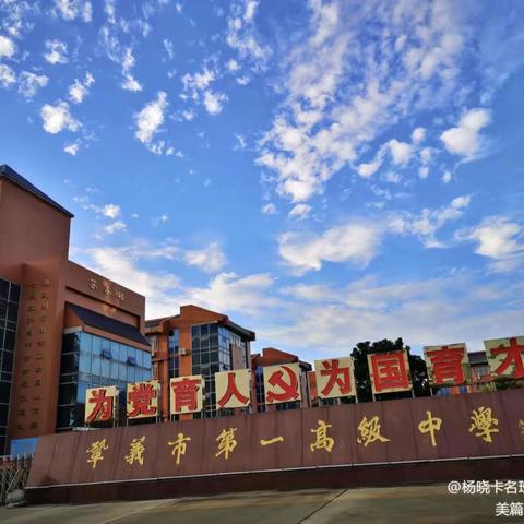 巩义市杨晓卡名班主任工作室主题班会分享活动第四期——青春励志，展翅飞翔