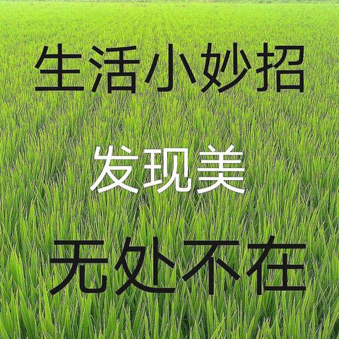 【生活智造家】——我家的小妙招