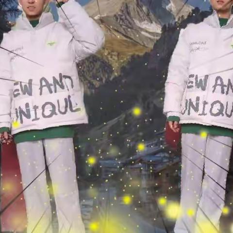 【轻羽飞扬】№2——灰中一点绿