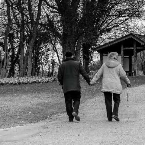 【家的呼唤】№1——夕阳爱情也很美