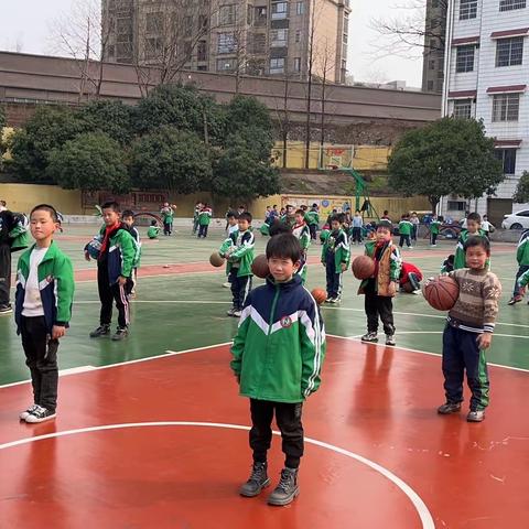 荷叶塘小学篮球5班社团课