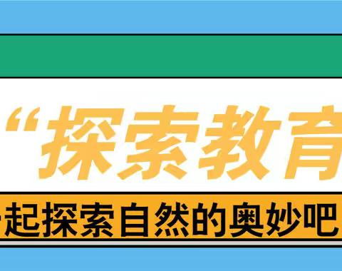 丝路夏日“探索教育”7日成长营