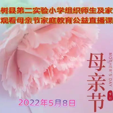 2022年5月8日梨树县第二实验小学组织师生及家长观看母亲节家庭教育公益直播课：“智慧母亲是如何练成的？”纪实