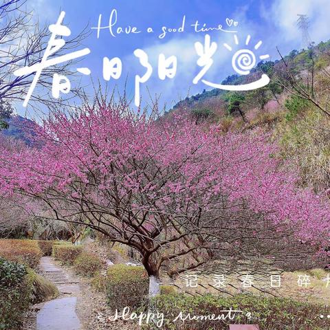 与梅相约 与风为伴