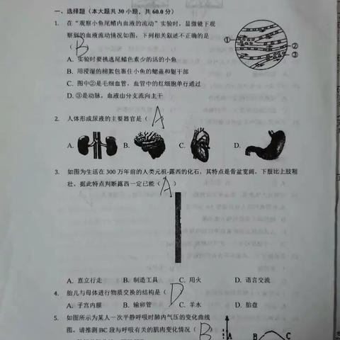 7.24～7.28岳硕暑假作业（语文作业待补）