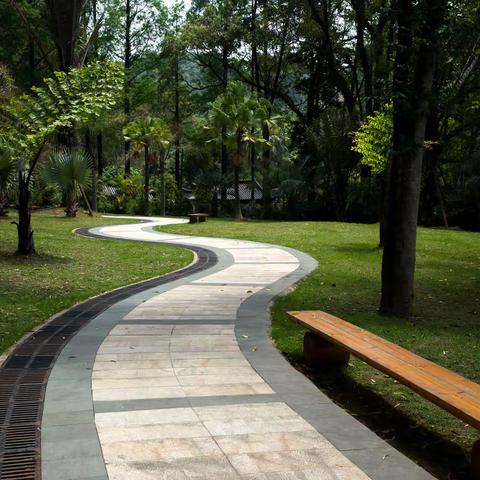 福建行--福建博物院、文庙、华林寺、植物园、福道