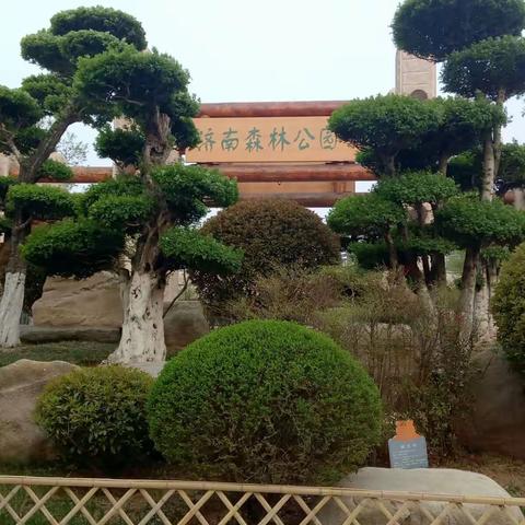 清晨的济南森林公园