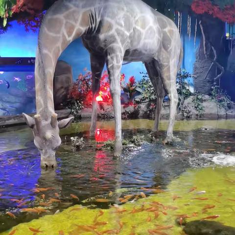 临沂海底世界（2）