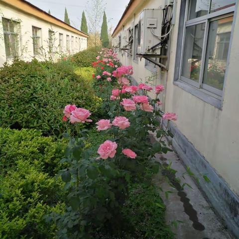 环境优美的金锣医院